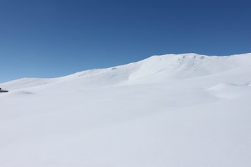 雪景很美丽，但它有一害，你知道吗？